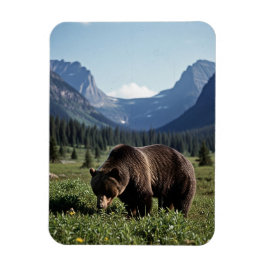 Grizzly Bear in Glacier National Park Travel Magnet