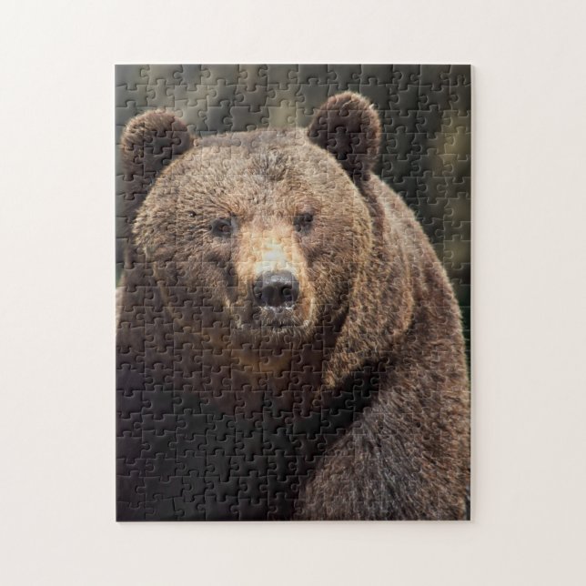 GRIZZLY BEAR JIGSAW PUZZLE (Vertikal)