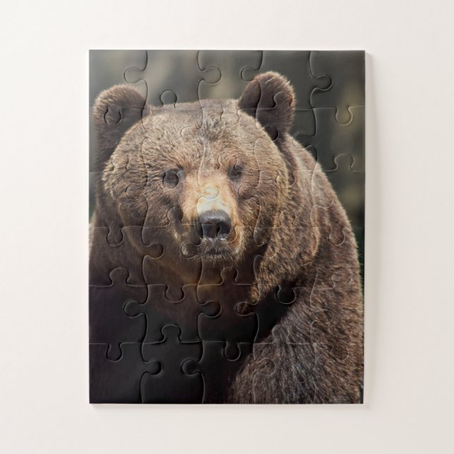 GRIZZLY BEAR JIGSAW PUZZLE (Vertikal)