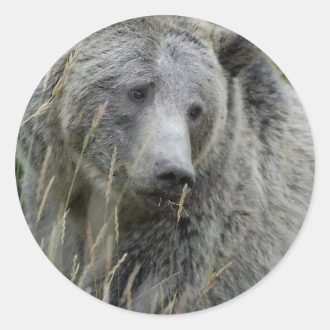 Grizzly_Bear_Lovers Runder Aufkleber (Vorderseite)