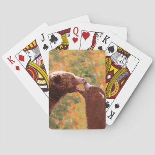 Grizzly Bear Mama and Cub Painting - Wildlife Art Spielkarten