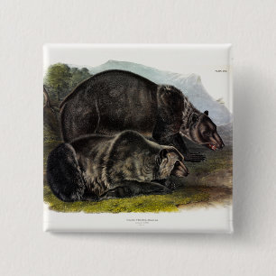 Grizzly Bear (Nordamerikanischer Braunbär) - Audub Button