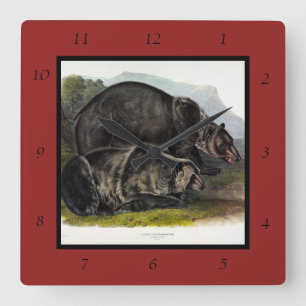 Grizzly Bear (Nordamerikanischer Braunbär) - Audub Quadratische Wanduhr
