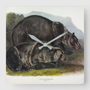 Grizzly Bear (Nordamerikanischer Braunbär) - Audub Quadratische Wanduhr