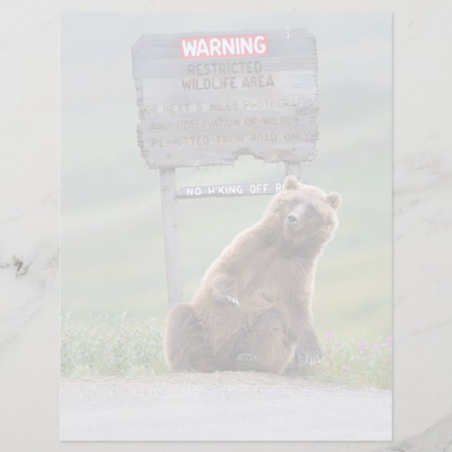 Grizzly Bear Plays With Sign (Vorderseite)