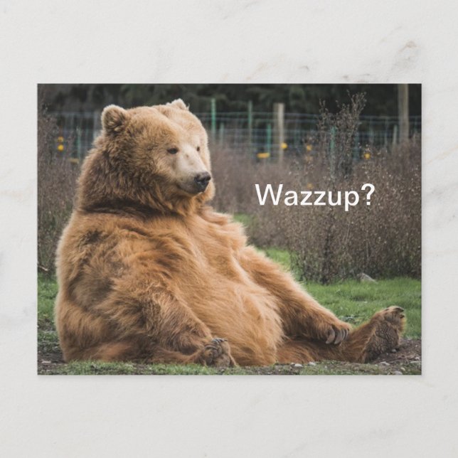 Grizzly Bear Postkarte (Vorderseite)