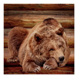 GRIZZLY BEAR RESSORT LOG CABIN POSTERS POSTER