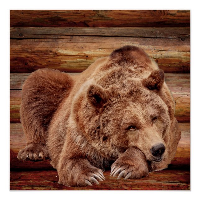 GRIZZLY BEAR RESSORT LOG CABIN POSTERS POSTER (Vorderseite)