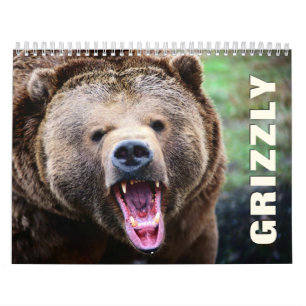 Grizzly Bears 2022 Wall Calendar Kalender