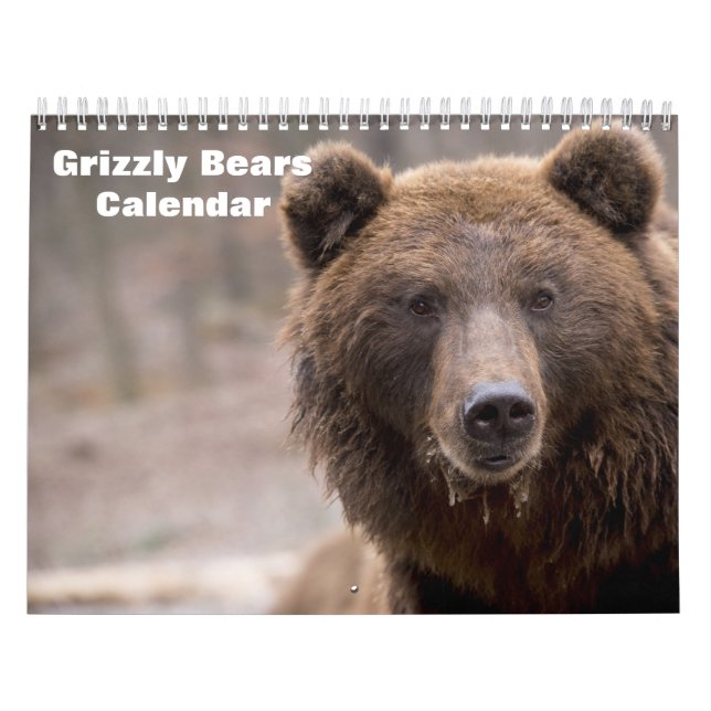 Grizzly Bears 2025 Kalender (Titelbild)