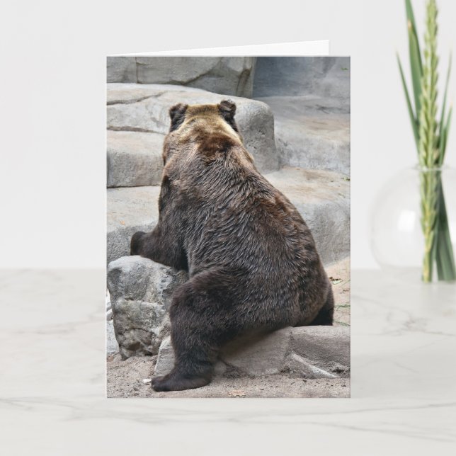 Grizzly Birthday Bear Karte (Vorderseite)