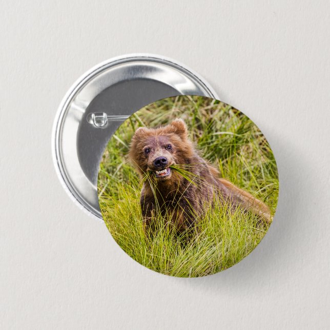 Grizzly cuzing, Alaska Button (Vorne & Hinten)