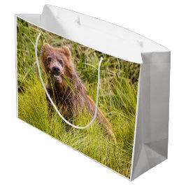 Grizzly cuzing, Alaska Große Geschenktüte