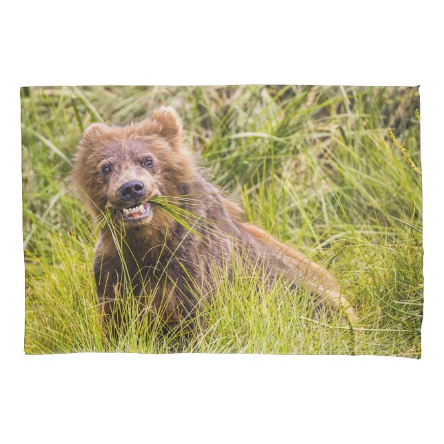 Grizzly cuzing, Alaska Kissenbezug (Vorderseite)