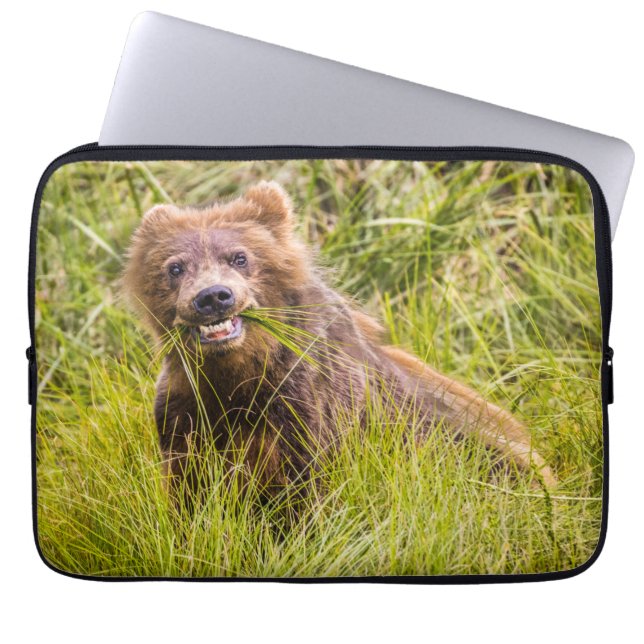 Grizzly cuzing, Alaska Laptopschutzhülle (Vorderseite)