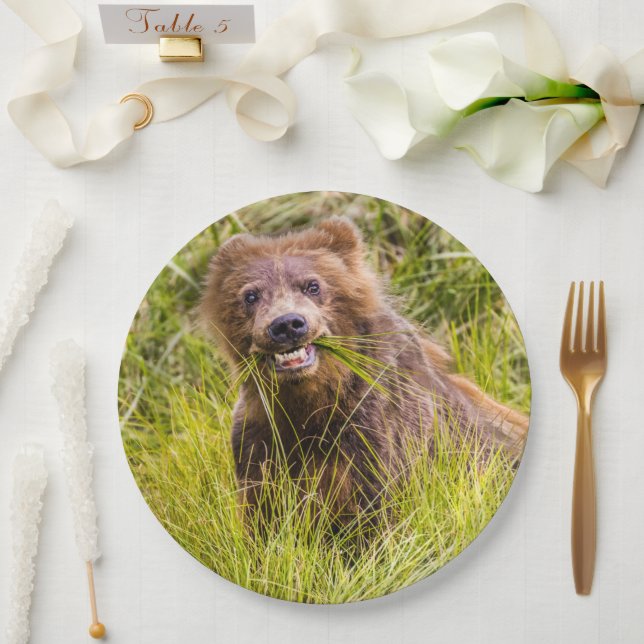 Grizzly cuzing, Alaska Pappteller (Hochzeit)