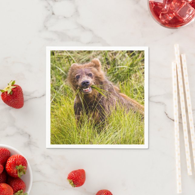 Grizzly cuzing, Alaska Serviette (Beispiel)