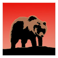 Grizzlybär bei Sonnenuntergang - Original Wildlife
