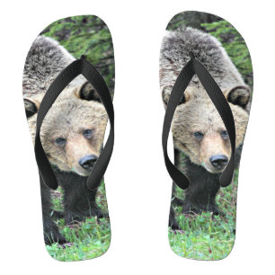 Grizzlybär beim Spaziergang im Wald Flip Flops