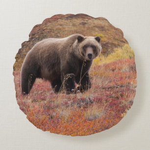 Grizzlybär bewegt sich durch Herbstfarben in Alas Rundes Kissen