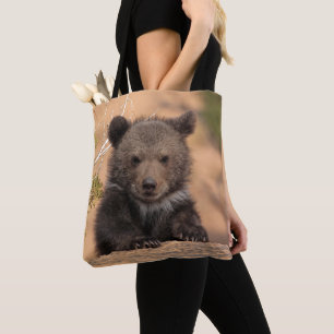 Grizzlybär CUB