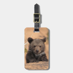 Grizzlybär CUB Gepäckanhänger