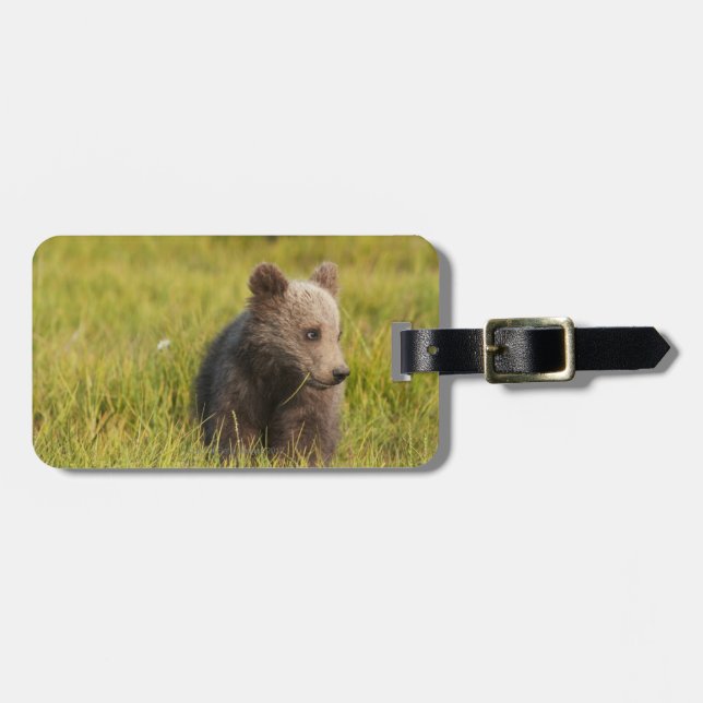 Grizzlybär CUB Gepäckanhänger (Vorderseite horizontal)
