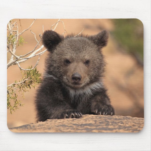 Grizzlybär CUB Mousepad (Vorne)