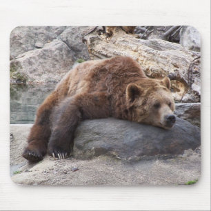 Grizzlybär, der auf Felsen stillsteht Mousepad