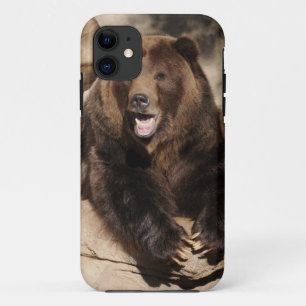 Grizzlybär-Eber Case-Mate iPhone Hülle