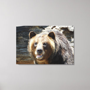 Grizzlybär gepackte Leinwand