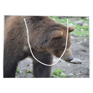 Grizzlybär Große Geschenktüte