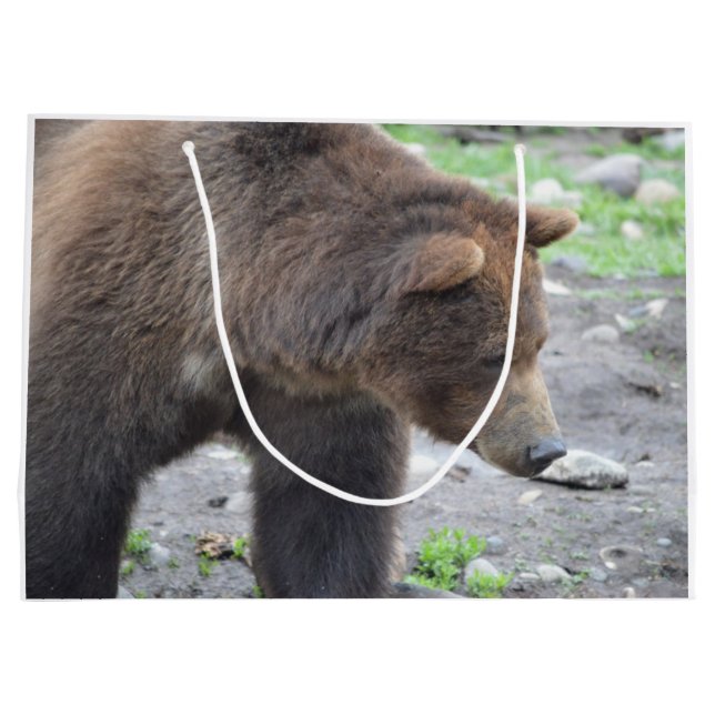 Grizzlybär Große Geschenktüte (Rückseite)