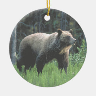 Grizzlybär-Holz-Verzierung Keramik Ornament