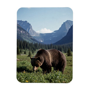 Grizzlybär im Glacier-Nationalpark-Reisebericht Magnet