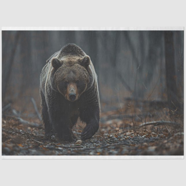 Grizzlybär im Holzdekoupage Seidenpapier (Vorderseite)