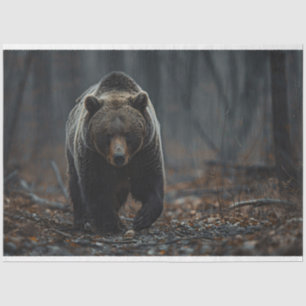 Grizzlybär im Wald - Découpage Seidenpapier