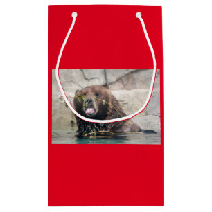 Grizzlybär im Wasser Kleine Geschenktüte