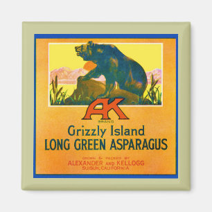 Grizzlybär Magnet