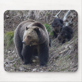 Grizzlybär mit CUB Mousepad