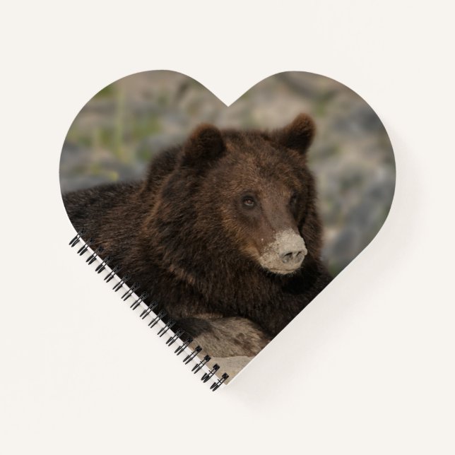 Grizzlybär mit einer Nose-Leinwand Notizbuch (Vorderseite)