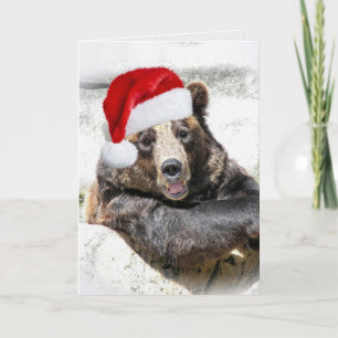 Grizzlybär mit Weihnachtshut Feiertagskarte