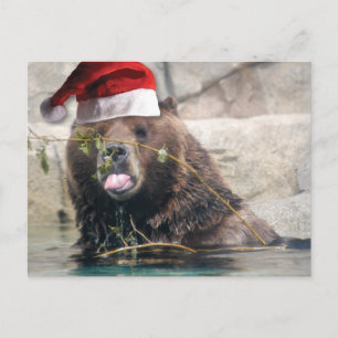 Grizzlybär mit Weihnachtsmannmütze Feiertagspostkarte