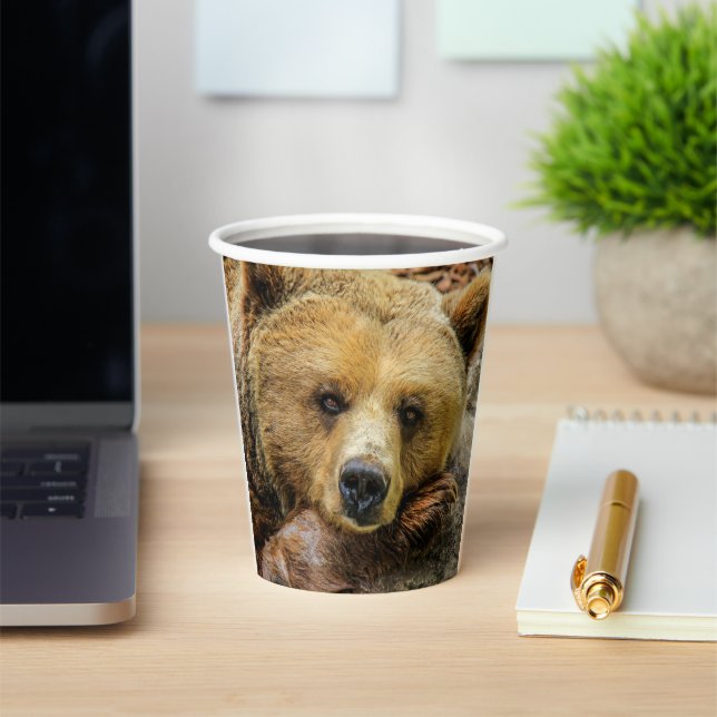 Grizzlybär Pappbecher (InSitu)