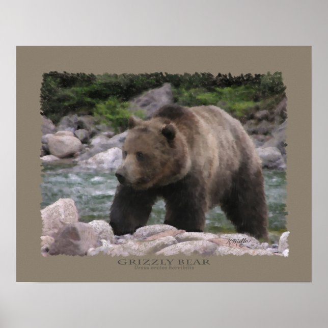 Grizzlybär - Pastelle Poster (Vorne)