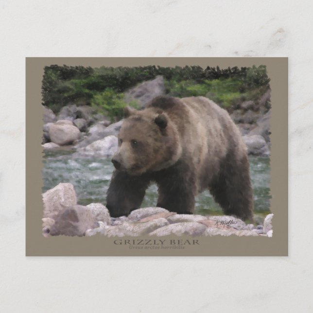 Grizzlybär - Pastelle Postkarte (Vorderseite)
