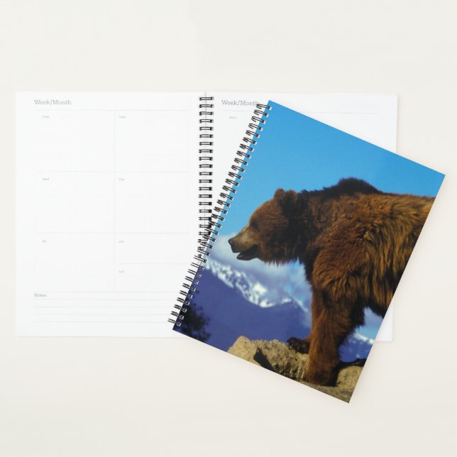 Grizzlybär Planer (Anzeige)