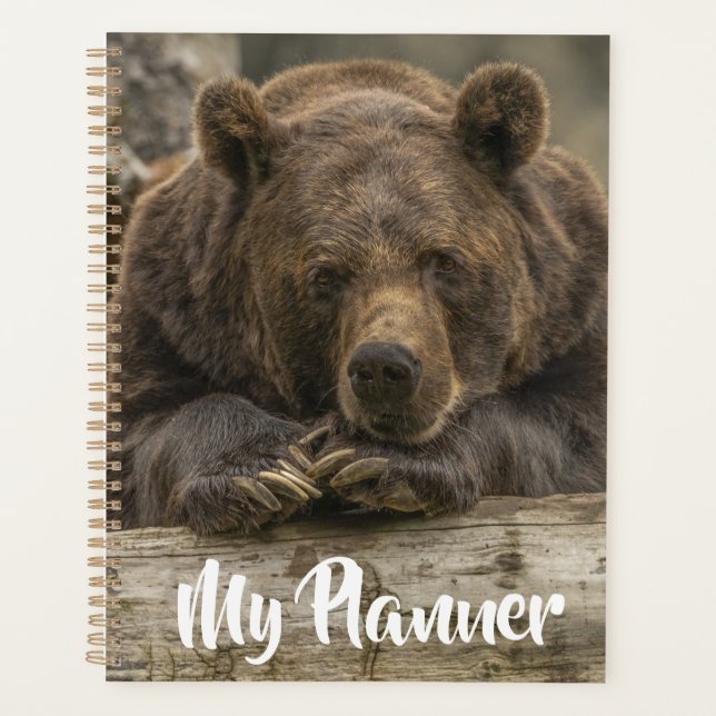 Grizzlybär Planer (Vorderseite)