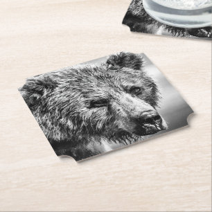 Grizzlybär-Portrait Untersetzer