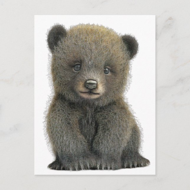 Grizzlybär POSTCARD Postkarte (Vorderseite)